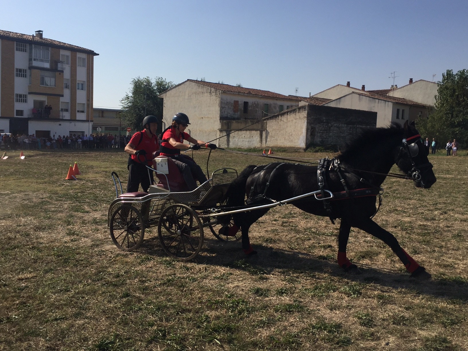 Campeonato Navarro de Enganches en Marcilla